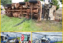 Fotos de Motorista fica em estado gravíssimo após tombar caminhão carregado com ração