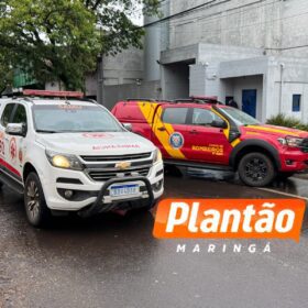 Fotos de Motorista fica ferido após árvore cair sobre veículo na Avenida Mauá, em Maringá