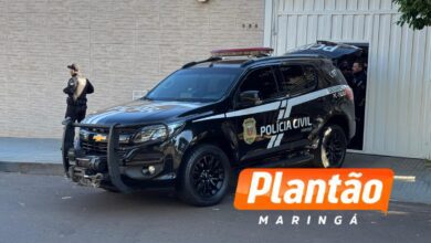 Fotos de Operação OFF-LABEL desmantela esquema de tráfico de anabolizantes e lavagem de dinheiro