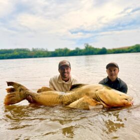 Pescador captura jaú de quase 2 metros e aproximadamente 100 quilos no Rio Ivaí em Floresta  Foto 2 Fotos de Pescador captura jaú de quase 2 metros e aproximadamente 100 quilos no Rio Ivaí em Floresta