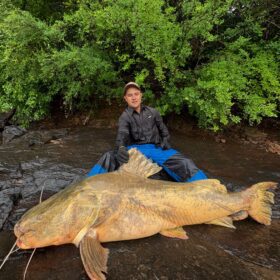 Pescador captura jaú de quase 2 metros e aproximadamente 100 quilos no Rio Ivaí em Floresta  Foto 6 Fotos de Pescador captura jaú de quase 2 metros e aproximadamente 100 quilos no Rio Ivaí em Floresta