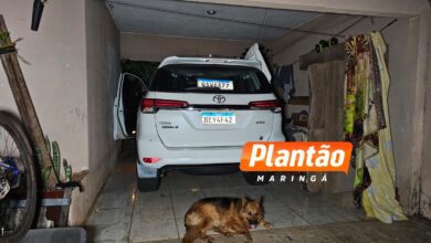 Fotos de Polícia de Sarandi recupera caminhonete de luxo e veículo furtado; homem é preso