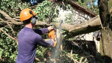 Fotos de Servidores de Maringá suspeitos de corrupção voltam a trabalhar com instauração de Processo Administrativo Disciplinar; entenda