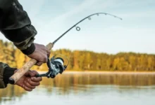 Fotos de Veja quando começa o período de piracema no Paraná e o que fica proibido