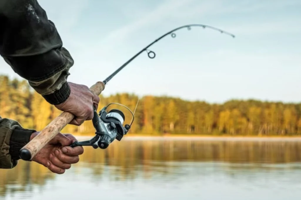 Veja quando começa o período de piracema no Paraná e o que fica proibido Foto 1 Fotos de Veja quando começa o período de piracema no Paraná e o que fica proibido