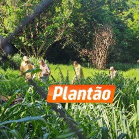 Fotos de Corpo de homem é encontrado em fundo de vale, em Maringá