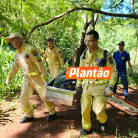 Fotos de Corpo de homem é encontrado em fundo de vale, em Maringá
