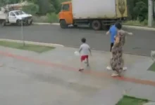 Fotos de Decisão da Justiça sobre devolução de cão agredido gera impasse em Maringá; entenda