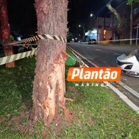 Fotos de Dois jovens ficam feridos após capotamento na Avenida Laguna, em Maringá
