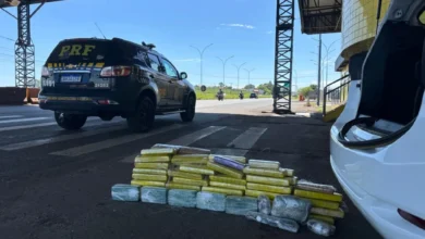 Fotos de Drogas e anabolizantes são encontrados escondidos no teto de veículo na região de Maringá; vídeo