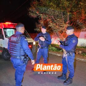 Homem é atacado com machadinha e fica gravemente ferido em Maringá Foto 4 Fotos de Homem é atacado com machadinha e fica gravemente ferido em Maringá