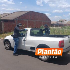 Fotos de Motorista que atropelou mãe e filha na BR-376 é identificado; veículo roubado durante a fuga é recuperado