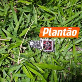 Pai abandona filho de 7 anos com perna quebrada e foge após acidente de moto em Maringá Foto 3 Fotos de Pai abandona filho de 7 anos com perna quebrada e foge após acidente de moto em Maringá