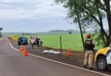 Fotos de Homem é encontrado morto às margens de rodovia entre Maringá e Ivatuba