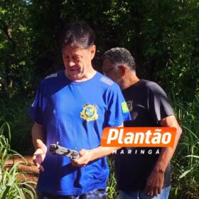 Pintor é encontrado morto em córrego no fundo de vale, em Maringá Foto 4 Fotos de Pintor é encontrado morto em córrego no fundo de vale, em Maringá