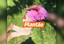 Fotos de Suspeito de agredir a mãe e a irmã é baleado pela Guarda Civil Municipal em Maringá