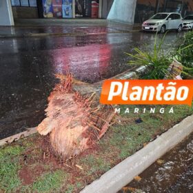 Fotos de Três mulheres ficam feridas após grave acidente na Avenida das Indústrias, em Maringá
