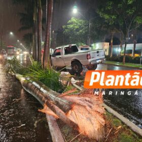 Fotos de Três mulheres ficam feridas após grave acidente na Avenida das Indústrias, em Maringá