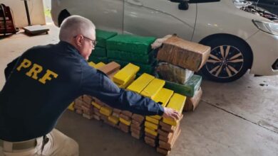 Fotos de PRF apreende 370 quilos de maconha após fuga de motorista na PR-317, em Maringá