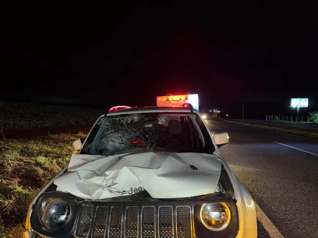 Acidente com morte é registrado na PR-317, entre Ivailândia e Floresta Foto 1 Fotos de Acidente com morte é registrado na PR-317, entre Ivailândia e Floresta