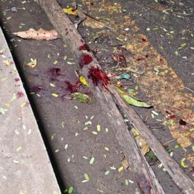 Fotos de Adolescente mata padrasto ao defender a mãe em Sarandi