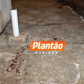 Fotos de Adolescente mata padrasto ao defender a mãe em Sarandi