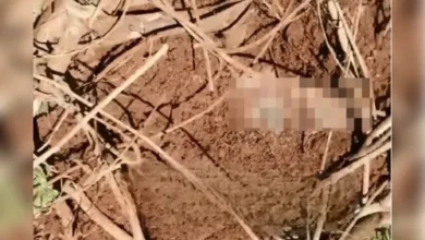 Foto: Reprodução/Blog do Berimbau