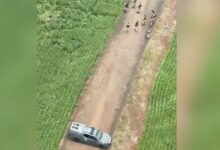 Fotos de Assalto a oficina termina com um suspeito morto e outro preso após confronto com a polícia na região