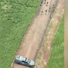 Assalto a oficina termina com um suspeito morto e outro preso após confronto com a polícia na região Foto 4 Fotos de Assalto a oficina termina com um suspeito morto e outro preso após confronto com a polícia na região