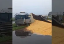 Fotos de Carreta carregada com milho tomba após acidente envolvendo ao menos três veículos na BR-376, em Maringá; vídeo