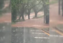 Fotos de Chuva e ventos fortes derrubam muro do Cemitério Municipal e 14 árvores em Maringá; VÍDEOS