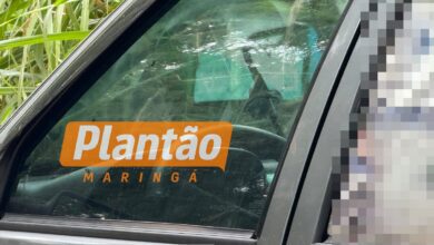 Fotos de Corpo é encontrado dentro de carro em estrada rural de Sarandi