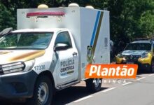 Fotos de Corpo é encontrado em estado avançado de decomposição em fundo de vale no Parque Alvamar, em Sarandi