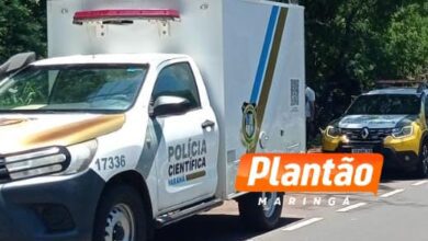 Fotos de Corpo é encontrado em estado avançado de decomposição em fundo de vale no Parque Alvamar, em Sarandi