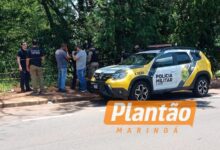 Fotos de Corpo em estado avançado de decomposição é encontrado em fundo de vale em Maringá