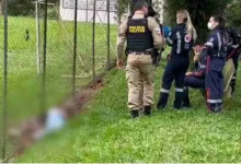 Fotos de Corpos são encontrados em campo de futebol no PR; veja o que diz a polícia