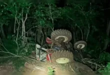 Fotos de Filho encontra pai morto ao lado de trator na região de Maringá; entenda