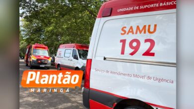 Fotos de Menino de 2 anos é ferido após ataque de pitbull, em Maringá