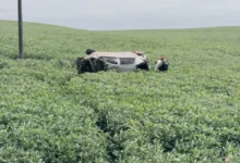 Fotos de Motorista morre após carro capotar na PR-082, na região de Maringá