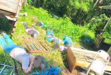 Fotos de Chácara vira palco de operação policial com 11 detidos, incluindo vereador de Paiçandu