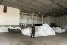 Fotos de PF de Maringá cumpre mandados e apreende veículos de luxo em operação contra crimes ambientais