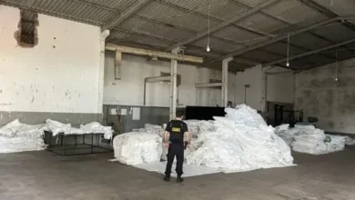 Fotos de PF de Maringá cumpre mandados e apreende veículos de luxo em operação contra crimes ambientais
