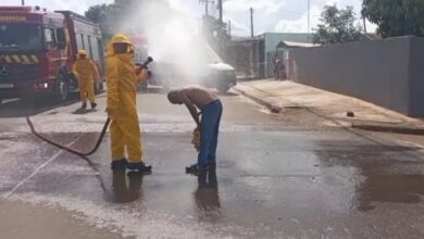 Fotos de Tês homens ficaram feridos após um ataque de abelhas, em Sarandi