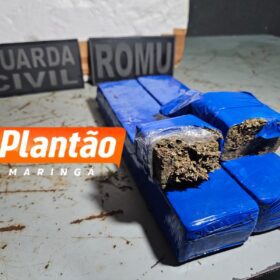 Fotos de Traficante embriagado sofre acidente na frente da Guarda Civil Municipal e é preso com dois quilos de maconha em Maringá