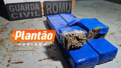 Fotos de Traficante embriagado sofre acidente na frente da Guarda Civil Municipal e é preso com dois quilos de maconha em Maringá