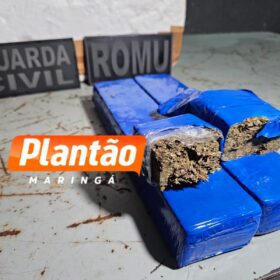Fotos de Traficante embriagado sofre acidente na frente da Guarda Civil Municipal e é preso com dois quilos de maconha em Maringá