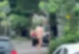 traicao-homem-e-flagrado-correndo-pelado-na-zona-7-em-maringa-video