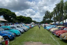Fotos de 900 carros antigos invadem Maringá em evento que deve atrair mais de 10 mil pessoas