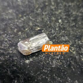 Câmera de segurança registra momento em que jovem é baleado em Maringá Foto 2 Fotos de Câmera de segurança registra momento em que jovem é baleado em Maringá