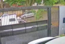 Fotos de Câmera flagra carro invadindo calçada, quebrando coqueiro e fugindo em Maringá